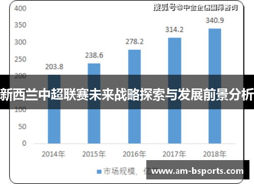 新西兰中超联赛未来战略探索与发展前景分析 新西兰中超联赛未来战略探索与发展前景分析