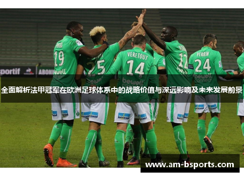 全面解析法甲冠军在欧洲足球体系中的战略价值与深远影响及未来发展前景