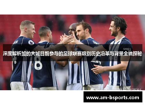 深度解析加的夫城目前参与的足球联赛级别历史沿革与背景全貌探秘