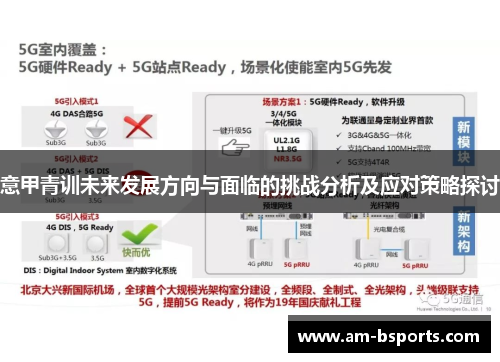 意甲青训未来发展方向与面临的挑战分析及应对策略探讨