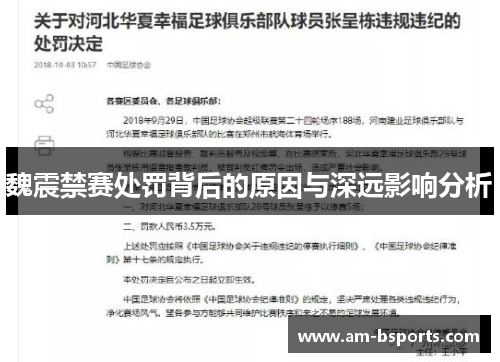魏震禁赛处罚背后的原因与深远影响分析