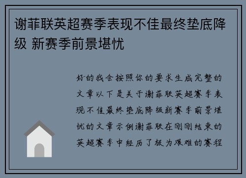 谢菲联英超赛季表现不佳最终垫底降级 新赛季前景堪忧