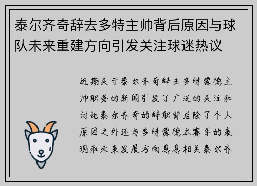 泰尔齐奇辞去多特主帅背后原因与球队未来重建方向引发关注球迷热议